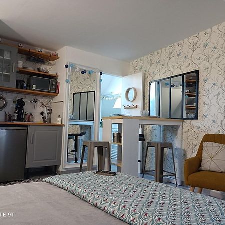Tres Beau Studio Climatisation, Trois Etoiles, Parking A Velo, Velos En Option, Parking Prive Jardin مونتارجي المظهر الخارجي الصورة