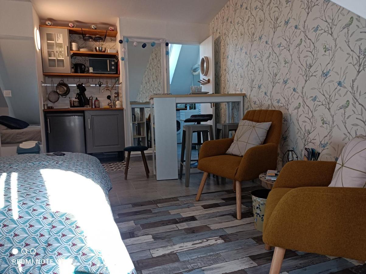 Tres Beau Studio Climatisation, Trois Etoiles, Parking A Velo, Velos En Option, Parking Prive Jardin مونتارجي المظهر الخارجي الصورة