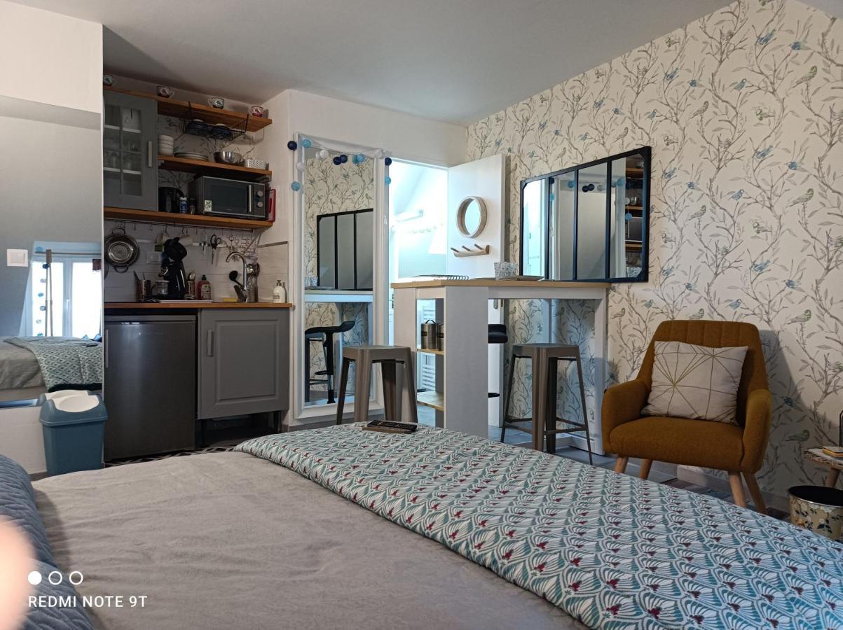 Tres Beau Studio Climatisation, Trois Etoiles, Parking A Velo, Velos En Option, Parking Prive Jardin مونتارجي المظهر الخارجي الصورة