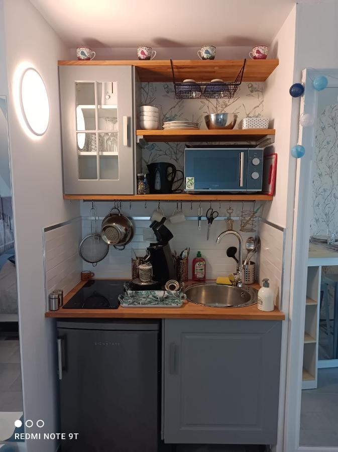 Tres Beau Studio Climatisation, Trois Etoiles, Parking A Velo, Velos En Option, Parking Prive Jardin مونتارجي المظهر الخارجي الصورة