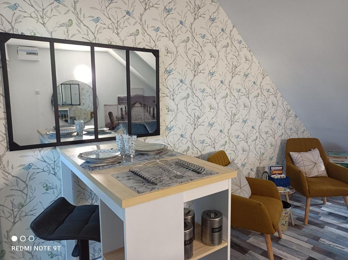Tres Beau Studio Climatisation, Trois Etoiles, Parking A Velo, Velos En Option, Parking Prive Jardin مونتارجي المظهر الخارجي الصورة