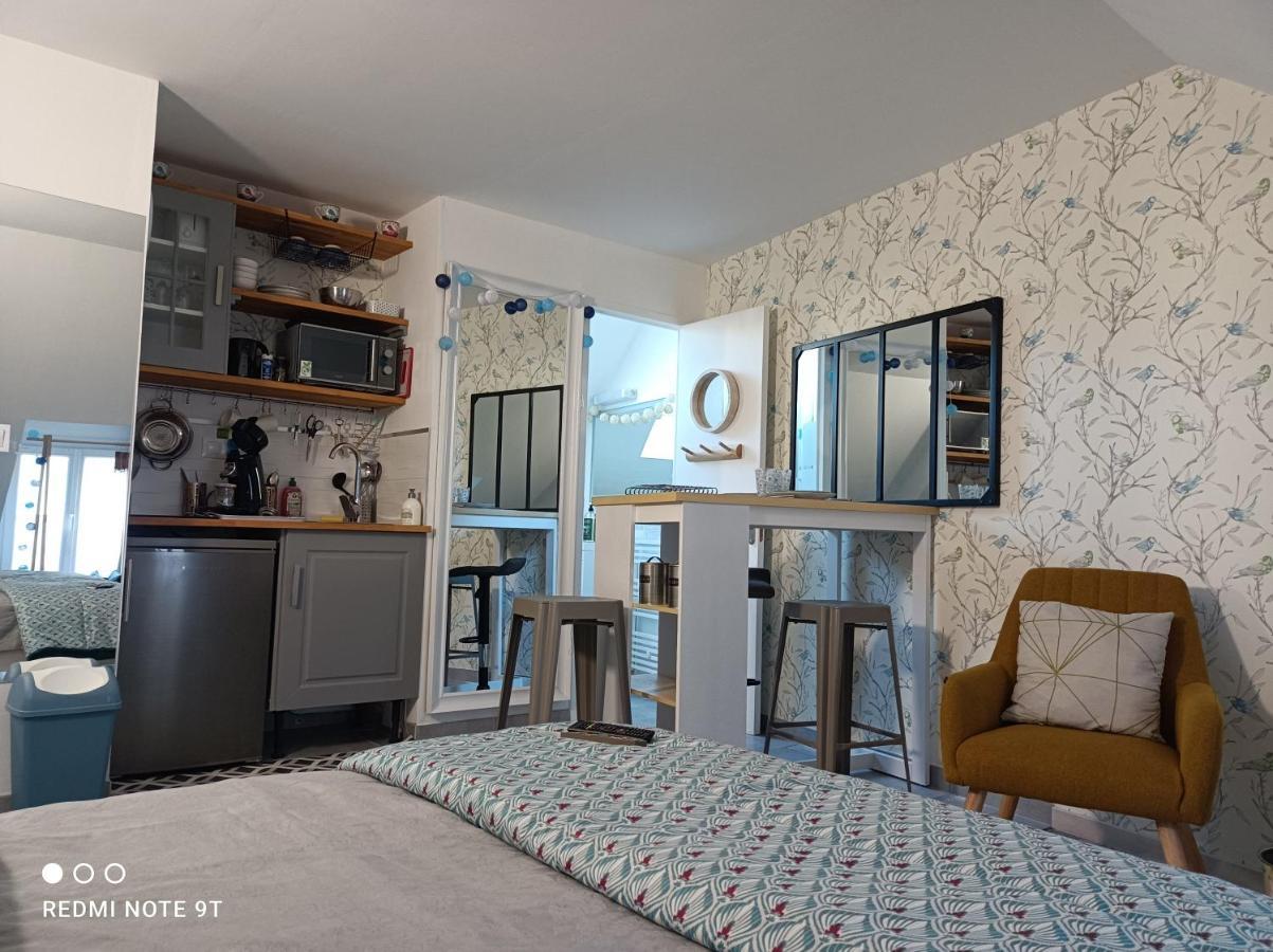 Tres Beau Studio Climatisation, Trois Etoiles, Parking A Velo, Velos En Option, Parking Prive Jardin مونتارجي المظهر الخارجي الصورة