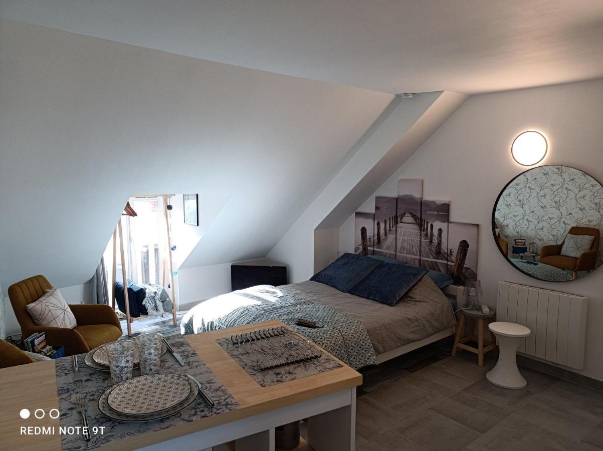 Tres Beau Studio Climatisation, Trois Etoiles, Parking A Velo, Velos En Option, Parking Prive Jardin مونتارجي المظهر الخارجي الصورة